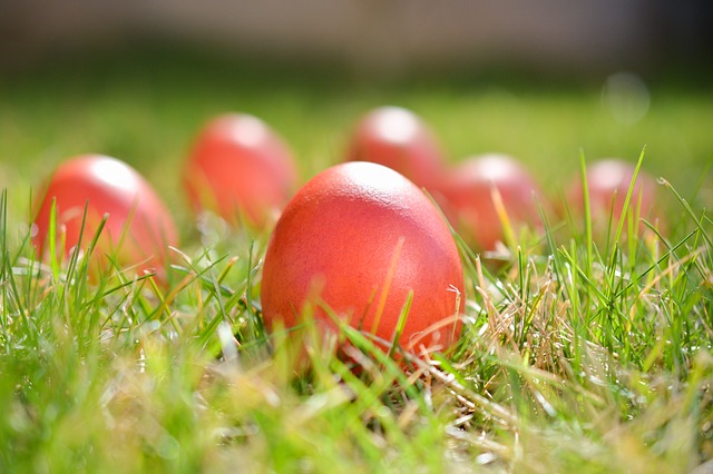 vajíčka v trávě